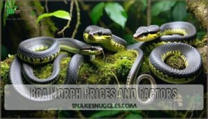 boa morph prices and factors