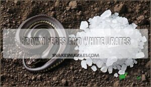 brown feces and white urates