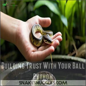 building trust with your ball python