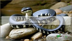 california kingsnakes
