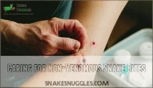 caring for non-venomous snake bites caring for non-venomous snake bites