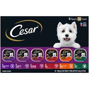 Cesar Adult Wet Dog Food B071J1BFTX