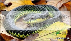 changes in snake behavior before brumation