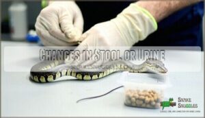 changes in stool or urine