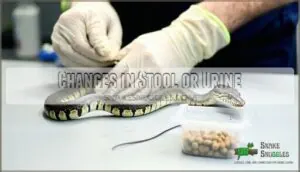 changes in stool or urine changes in stool or urine