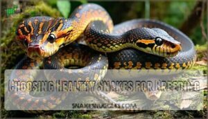 choosing healthy snakes for breeding