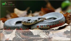 cinder (ashy, z)