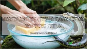 cleaning a snakes water bowl