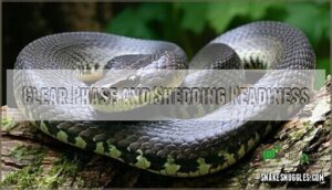 clear phase and shedding readiness
