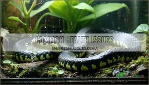 common health issues