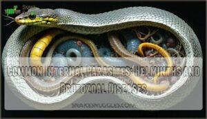 common internal parasites: helminths and protozoal diseases