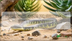 common snake species for beginners