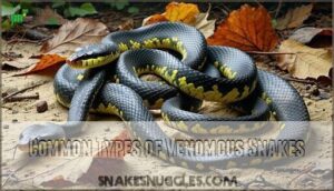 common types of venomous snakes