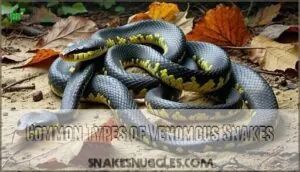 common types of venomous snakes common types of venomous snakes