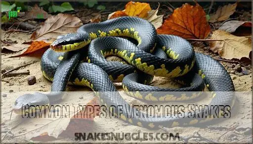 View of Snake Wound Care at Home: Emergency First Aid & Treatment Guide