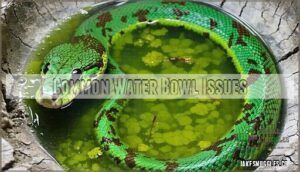 common water bowl issues