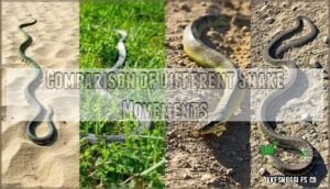 comparison of different snake movements