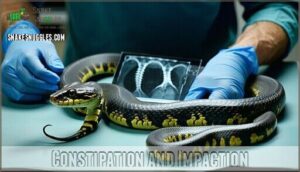 constipation and impaction