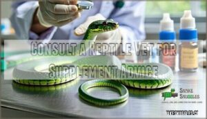 consult a reptile vet for supplement advice