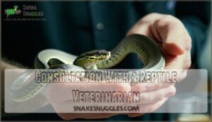 consultation with a reptile veterinarian