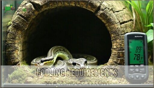 Ball Python for Beginners: Care, Feeding, Handling & Setup Guide