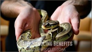 daily handling benefits