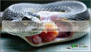 diagnosing snake impaction diagnosing snake impaction