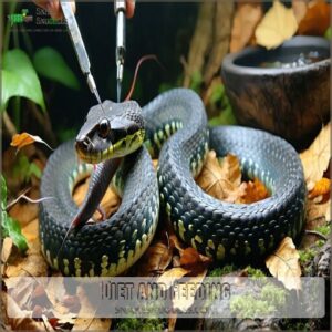 diet and feeding