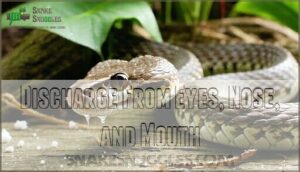 discharge from eyes, nose, and mouth