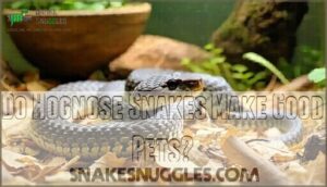 do hognose snakes make good pets