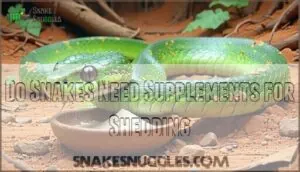 do snakes need supplements for shedding do snakes need supplements for shedding