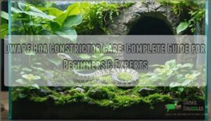 dwarf boa constrictor care