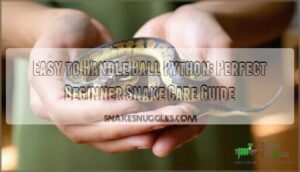 easy to handle ball python