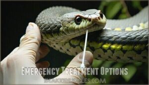 emergency treatment options