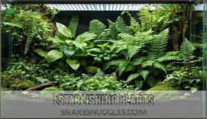 establishing plants