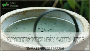 examining specks from water bowls