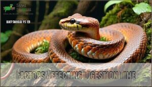 factors affecting digestion time