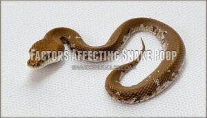 factors affecting snake poop