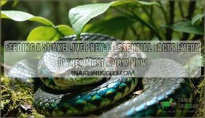 feeding a snake live prey