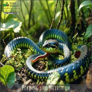 feeding and nutrition