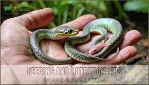feeding and nutrition tips feeding and nutrition tips