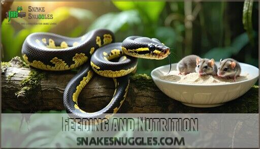 Snake Care Guide for Garter Snakes: Expert Tips for Happy, Healthy Pets