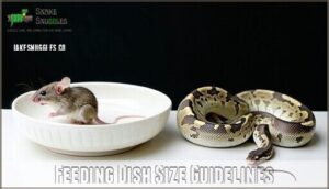 feeding dish size guidelines