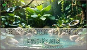 feeding frequency for different snake species