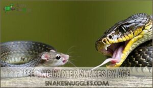 feeding garter snakes by age