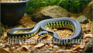 feeding problems in garter snakes