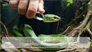 feeding with tongs
