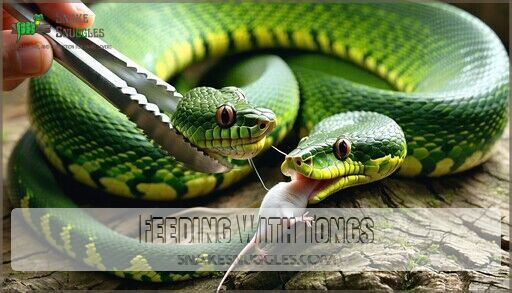 Feeding Snakes in Captivity: Complete Guide to Healthy Pet Care - Monitor Snake Feeding Habits In Captivity