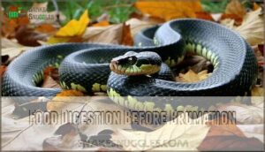 food digestion before brumation