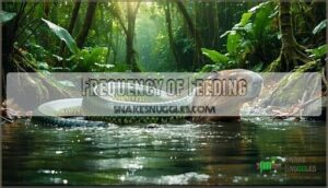 frequency of feeding